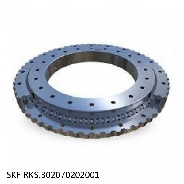 RKS.302070202001 SKF Slewing Ring Bearings