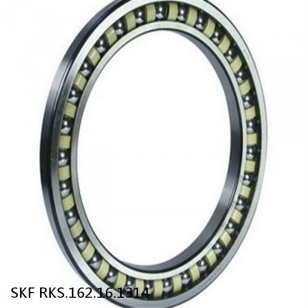 RKS.162.16.1314 SKF Slewing Ring Bearings