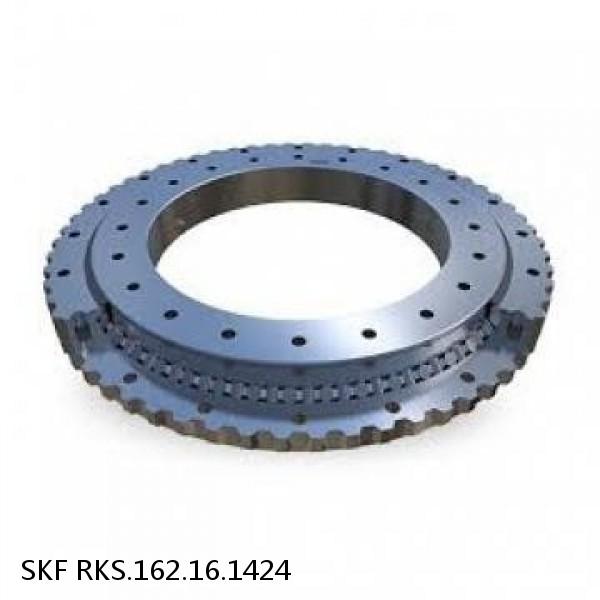 RKS.162.16.1424 SKF Slewing Ring Bearings
