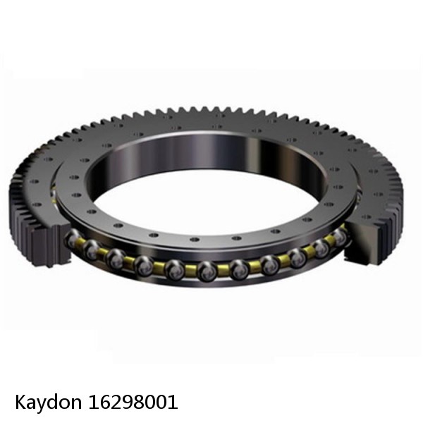 16298001 Kaydon Slewing Ring Bearings