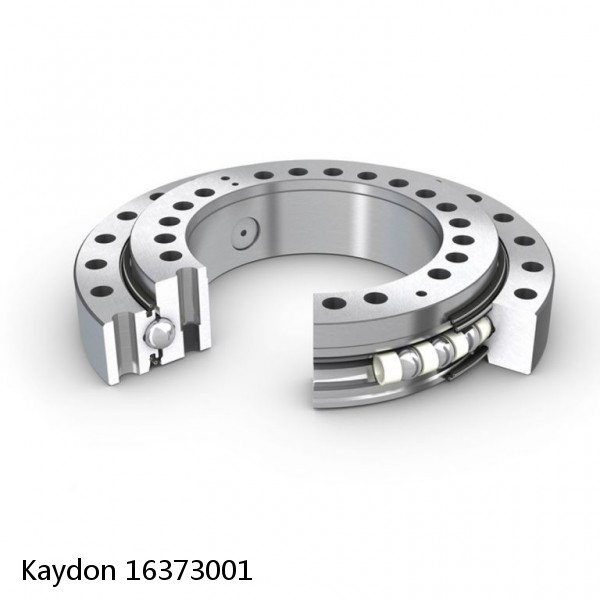 16373001 Kaydon Slewing Ring Bearings
