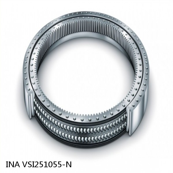 VSI251055-N INA Slewing Ring Bearings #1 small image