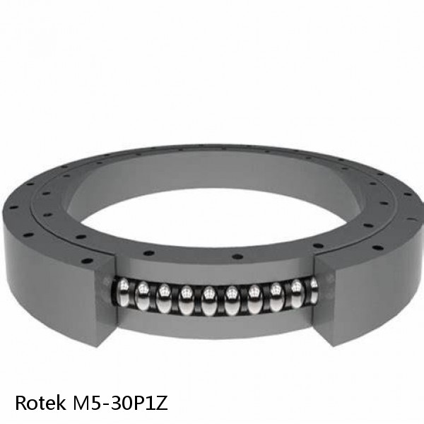 M5-30P1Z Rotek Slewing Ring Bearings #1 small image