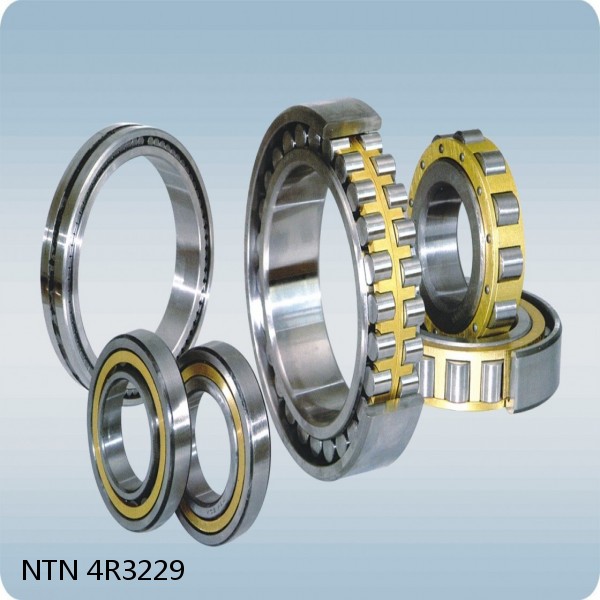 4R3229 NTN Cylindrical Roller Bearing #1 small image