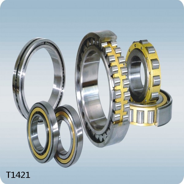 T1421 Needle Non Thrust Roller Bearings