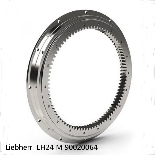 90020064 Liebherr  LH24 M Slewing Ring #1 small image