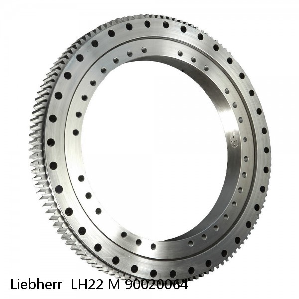 90020064 Liebherr  LH22 M Slewing Ring #1 small image