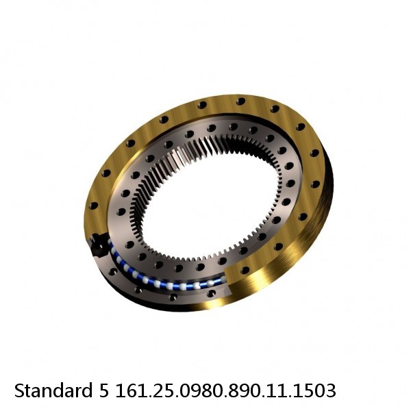 161.25.0980.890.11.1503 Standard 5 Slewing Ring Bearings #1 image