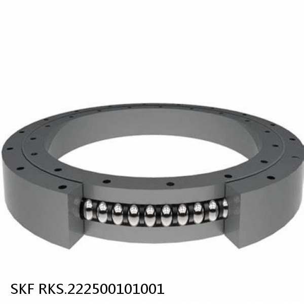 RKS.222500101001 SKF Slewing Ring Bearings #1 image