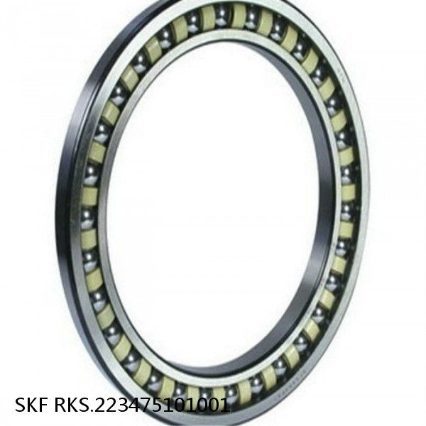 RKS.223475101001 SKF Slewing Ring Bearings #1 image