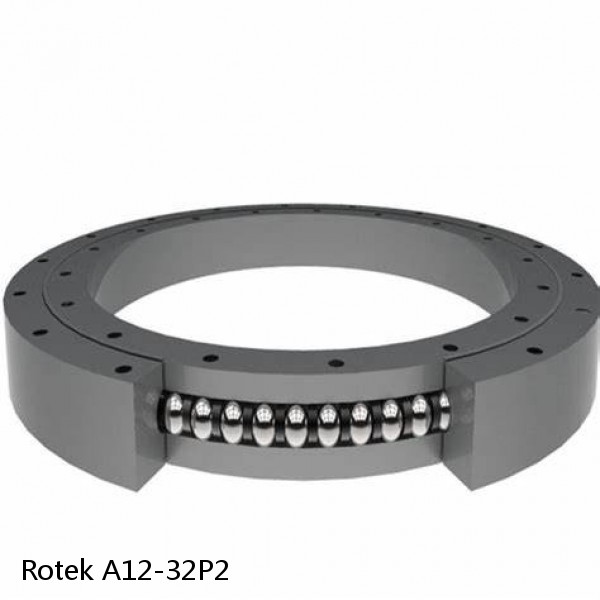 A12-32P2 Rotek Slewing Ring Bearings #1 image