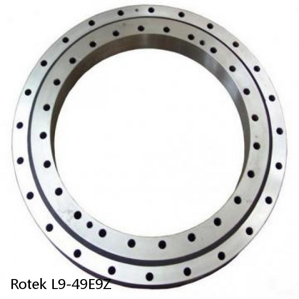 L9-49E9Z Rotek Slewing Ring Bearings #1 image