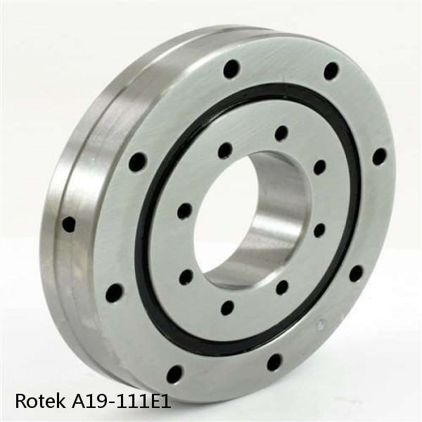 A19-111E1 Rotek Slewing Ring Bearings #1 image