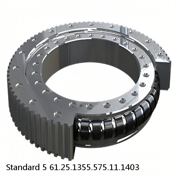 61.25.1355.575.11.1403 Standard 5 Slewing Ring Bearings #1 image