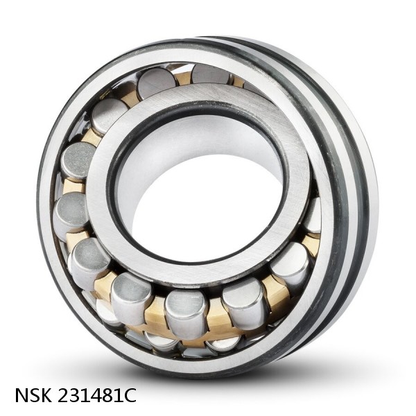 231481C NSK Railway Rolling Spherical Roller Bearings #1 image