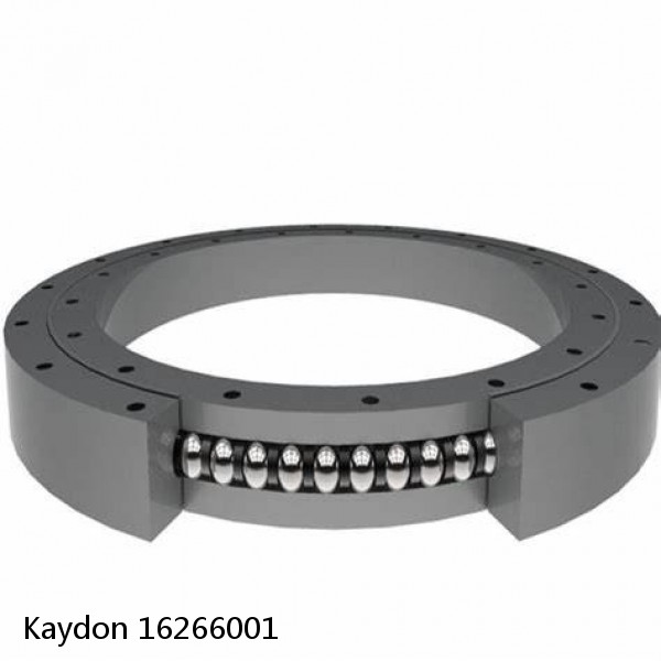 16266001 Kaydon Slewing Ring Bearings #1 image